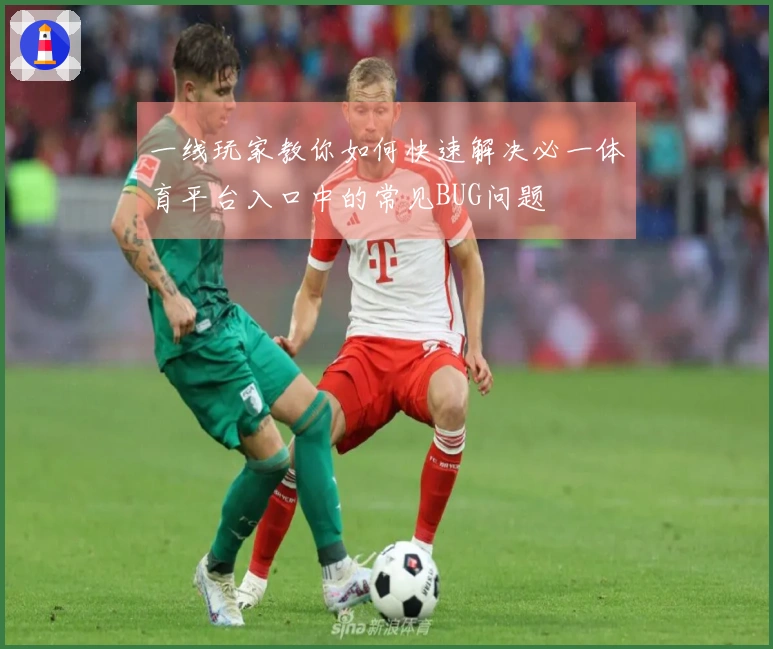 一线玩家教你如何快速解决必一体育平台入口中的常见BUG问题