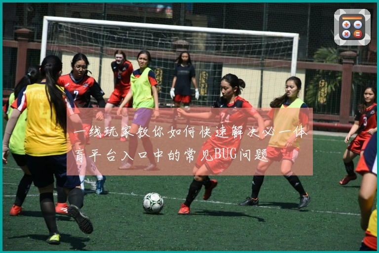 一线玩家教你如何快速解决必一体育平台入口中的常见BUG问题